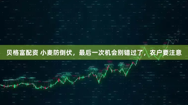 贝格富配资 小麦防倒伏，最后一次机会别错过了，农户要注意
