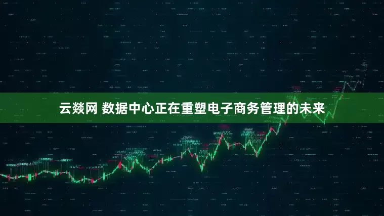 云燚网 数据中心正在重塑电子商务管理的未来