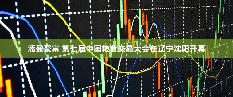 添盈聚富 第七届中国粮食交易大会在辽宁沈阳开幕