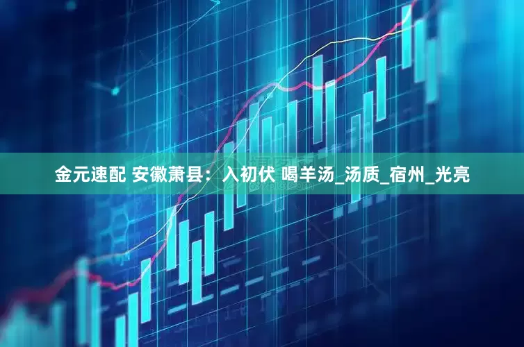 金元速配 安徽萧县：入初伏 喝羊汤_汤质_宿州_光亮