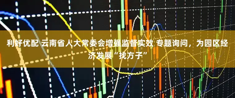 利好优配 云南省人大常委会增强监督实效 专题询问，为园区经济发展“找方子”