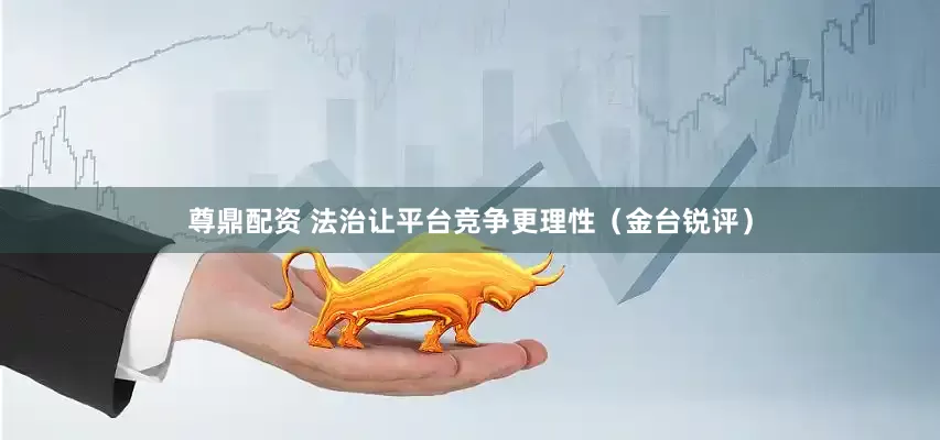 尊鼎配资 法治让平台竞争更理性（金台锐评）