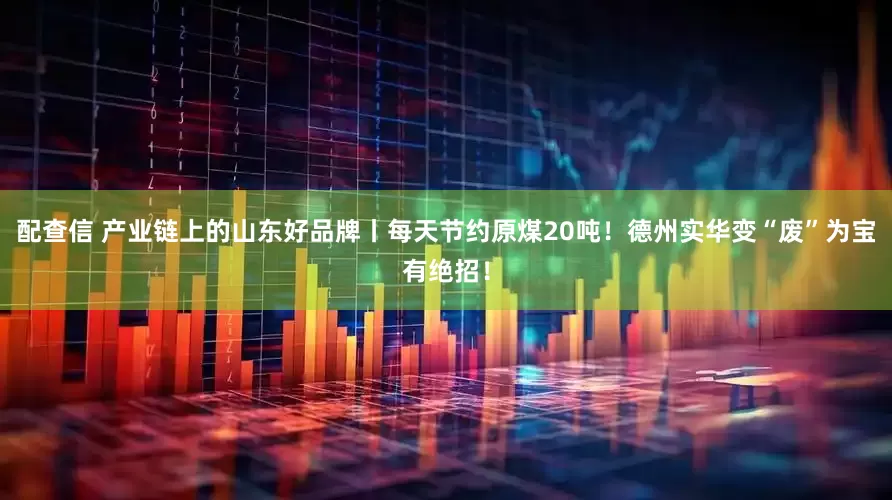 配查信 产业链上的山东好品牌丨每天节约原煤20吨!德州实华变“废”为宝有绝招!